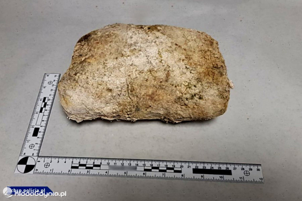 Heroina w Porcie Gdynia