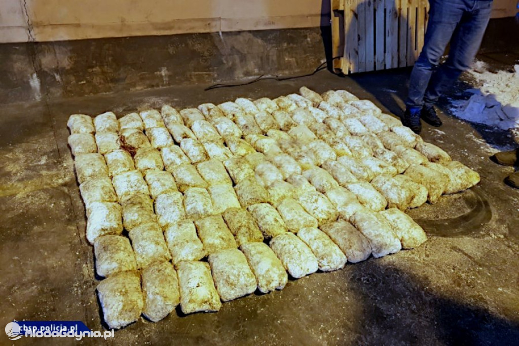 Heroina w Porcie Gdynia