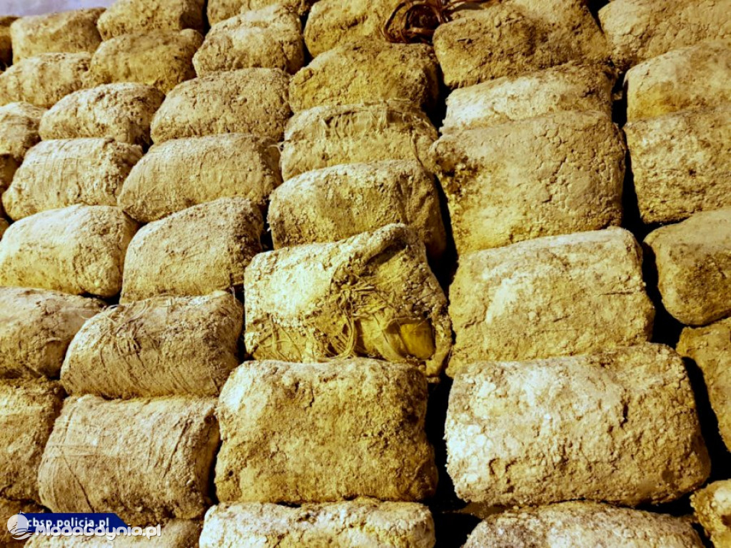 Heroina w Porcie Gdynia