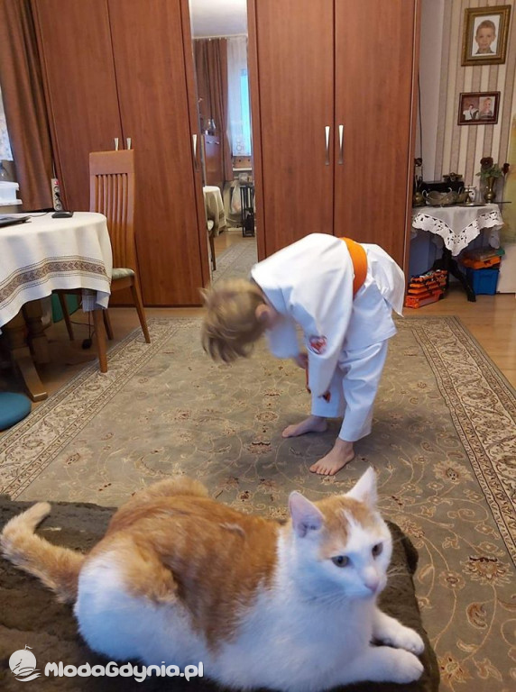 Pomorski Klub Karate Kyokushin - Trening ON - LINE