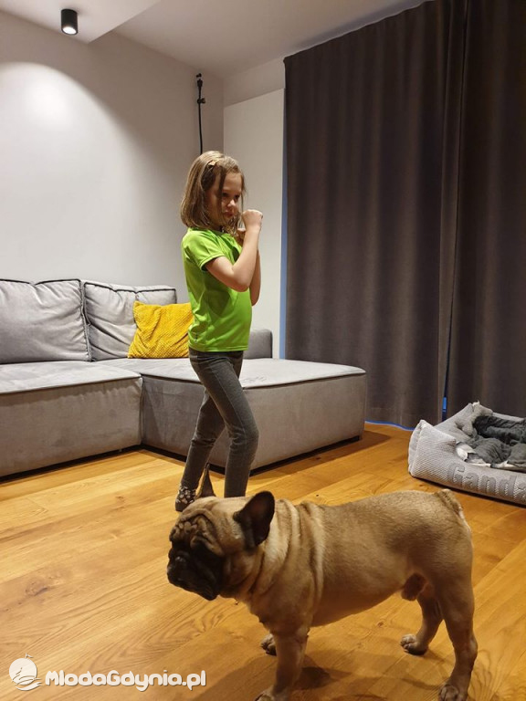 Pomorski Klub Karate Kyokushin - Trening ON - LINE