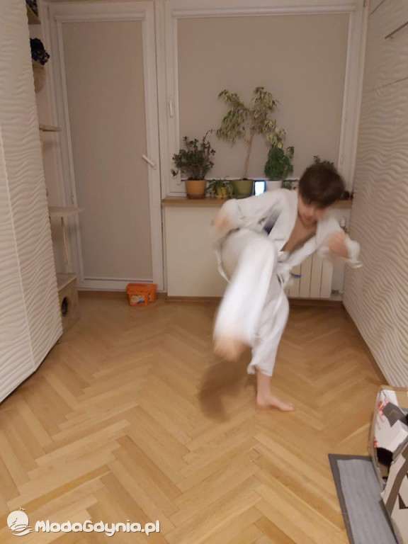 Pomorski Klub Karate Kyokushin - Trening ON - LINE