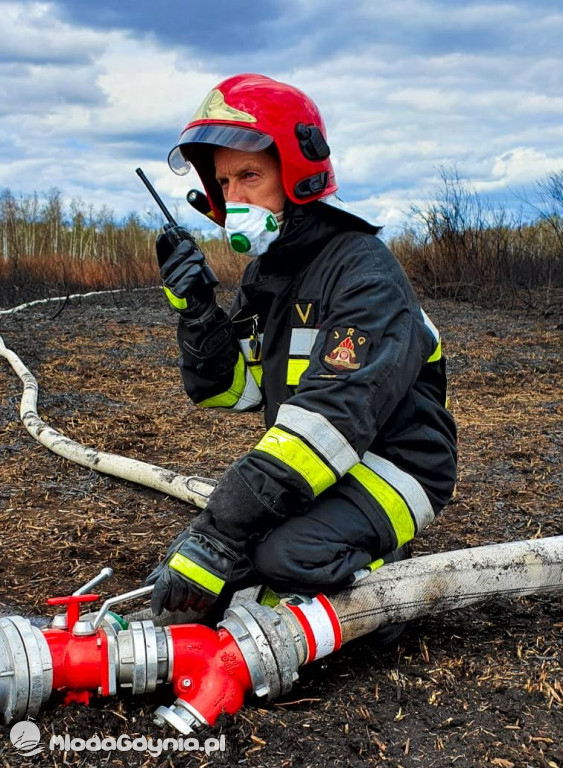 Gdyńscy strażacy gasili Biebrzański Park Narodowy