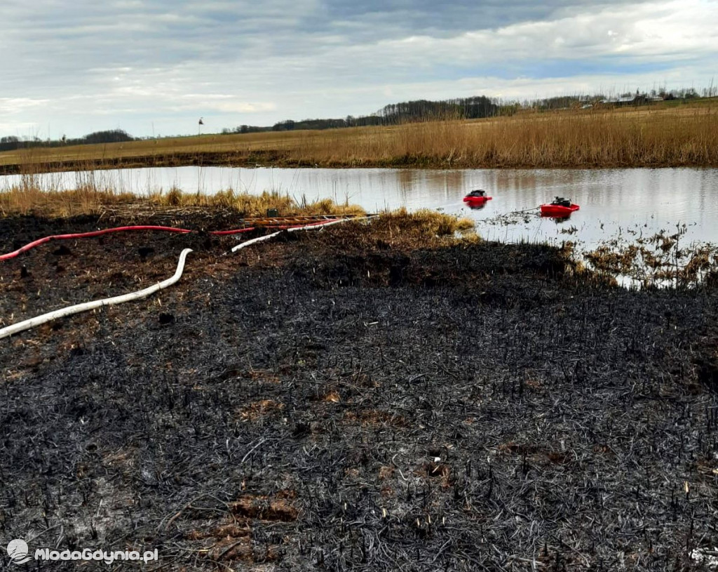 Gdyńscy strażacy gasili Biebrzański Park Narodowy