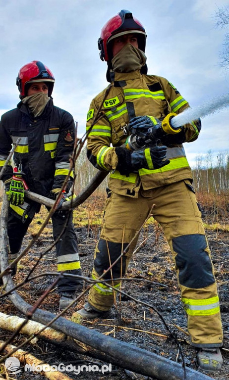 Gdyńscy strażacy gasili Biebrzański Park Narodowy