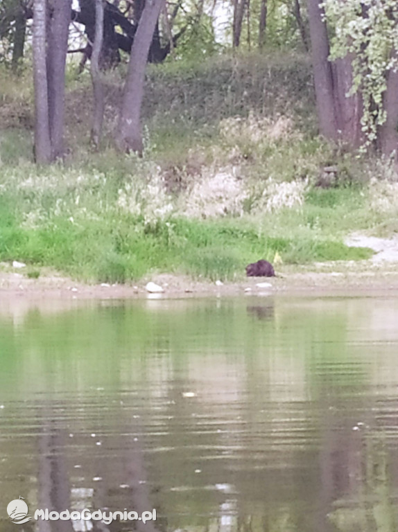 Szymon płynie dla Emila - 4 i 5 maja 2020