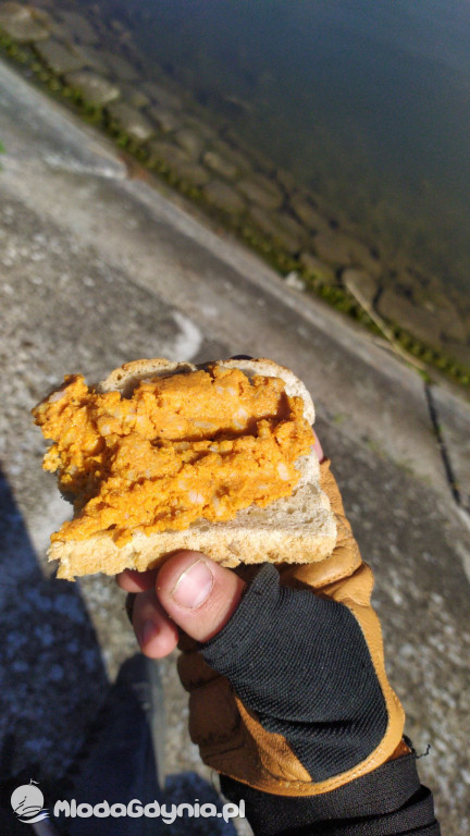 Szymon Machnowski płynie dla Emila 9 i 10 maja 2020