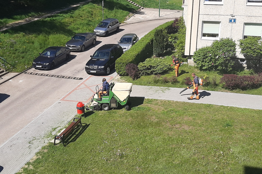 Koszą, trawę koszą