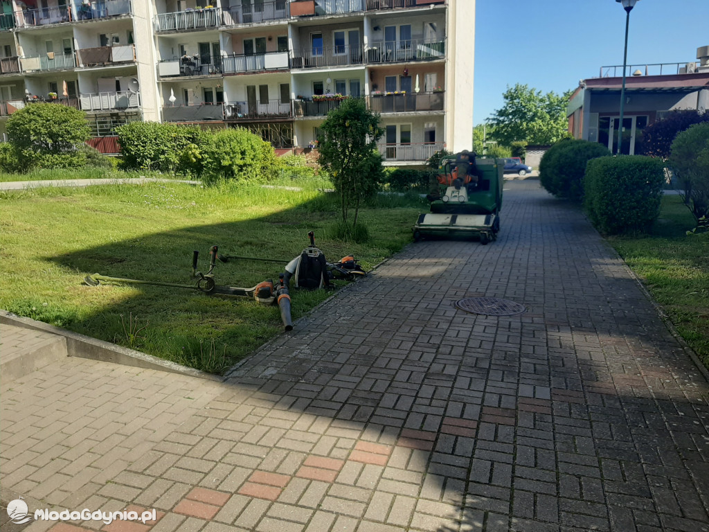 Koszą, trawę koszą