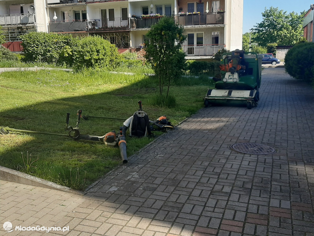 Koszą, trawę koszą