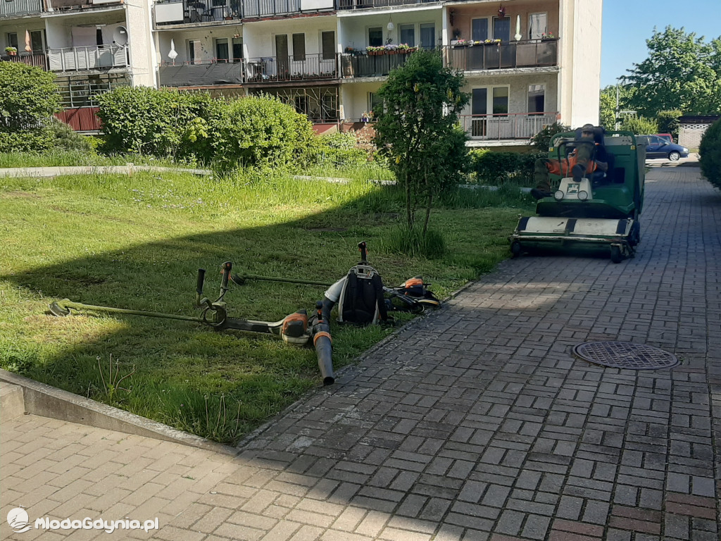Koszą, trawę koszą