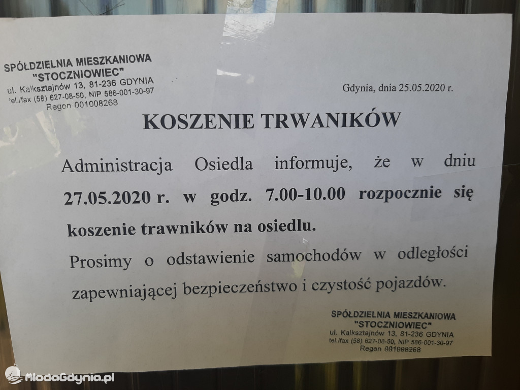 Koszą, trawę koszą