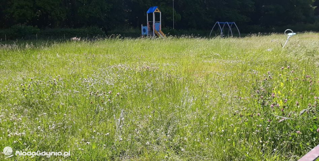Na Witominie place zabaw zamknięte