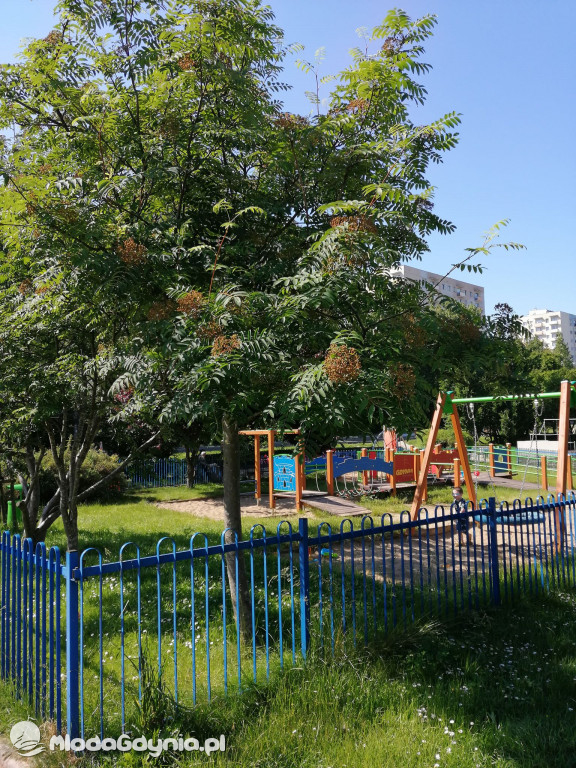 Na Witominie place zabaw zamknięte