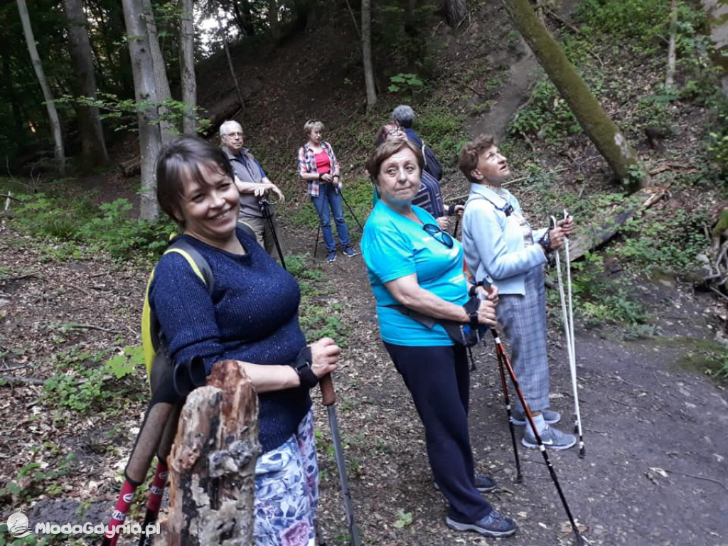 Ruszył nordic walking na Witominie