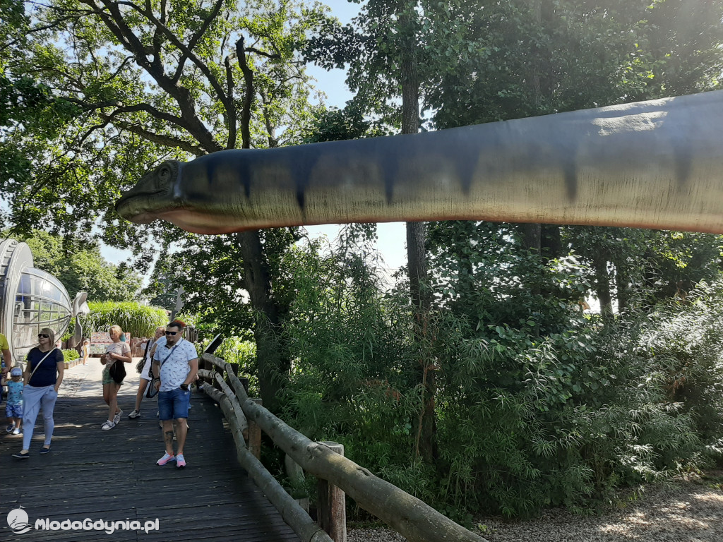 Park Ewolucji zaprasza