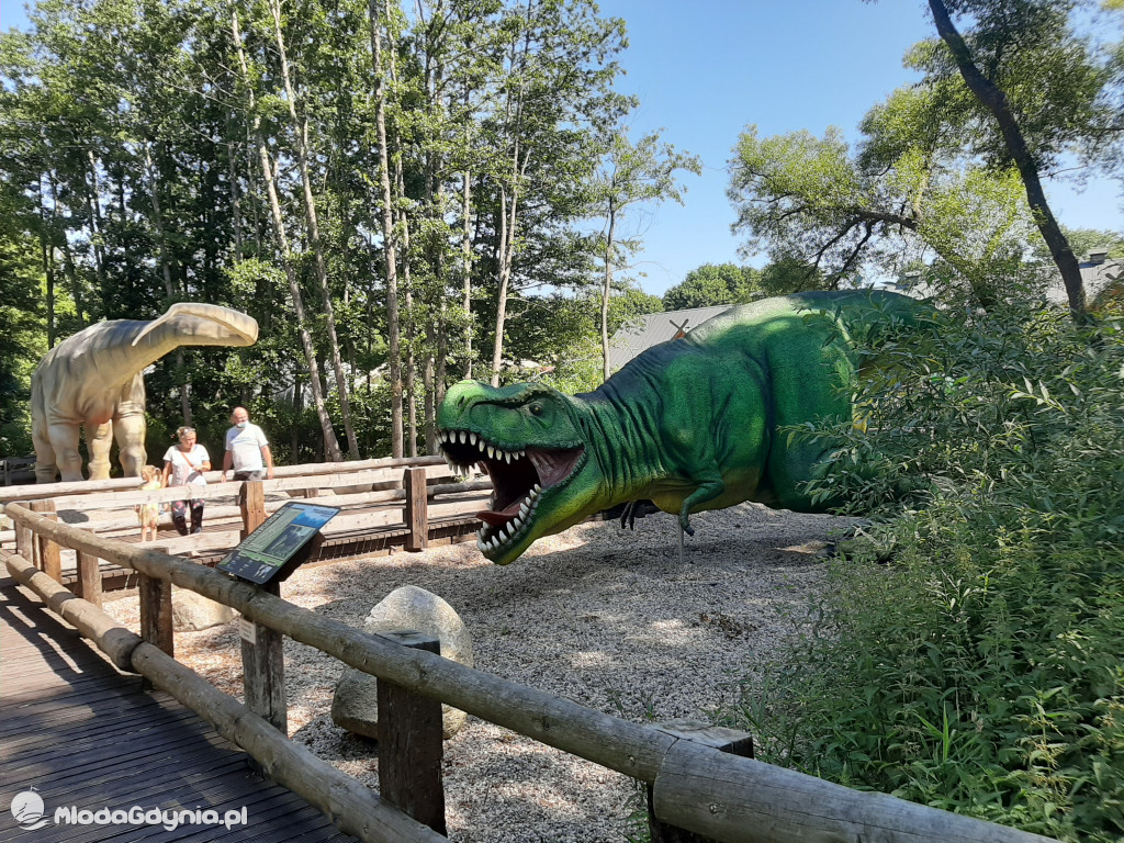 Park Ewolucji zaprasza