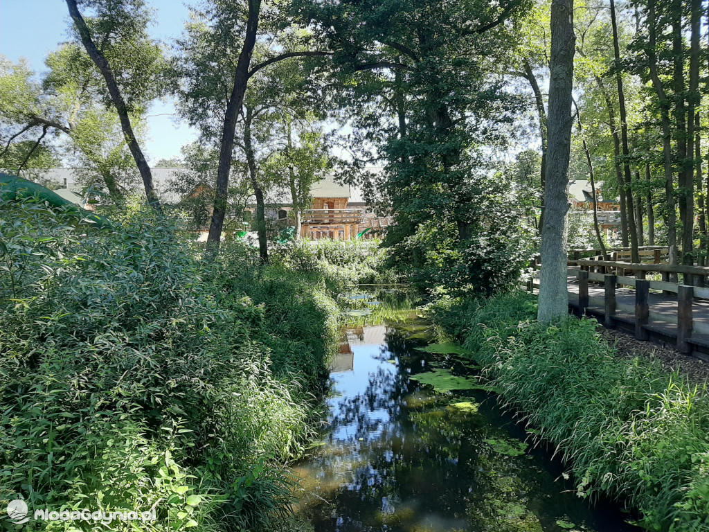 Park Ewolucji zaprasza