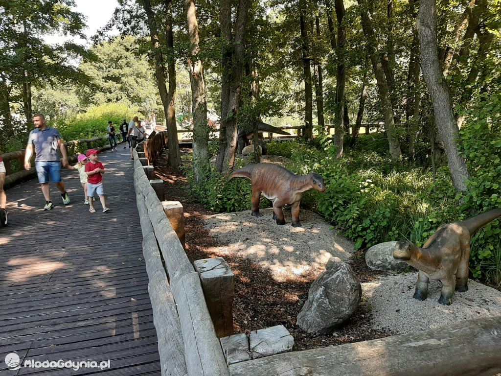 Park Ewolucji zaprasza