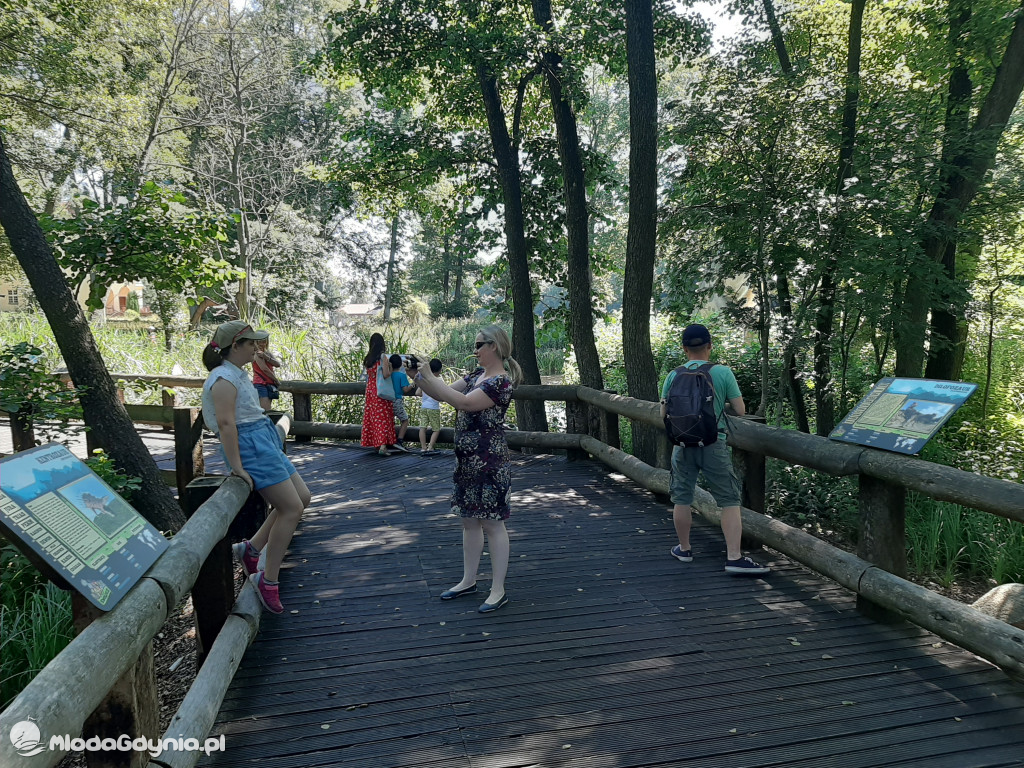 Park Ewolucji zaprasza