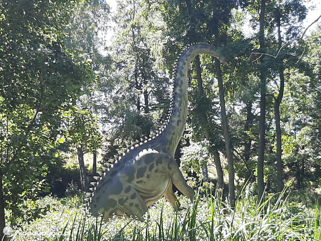 Park Ewolucji zaprasza