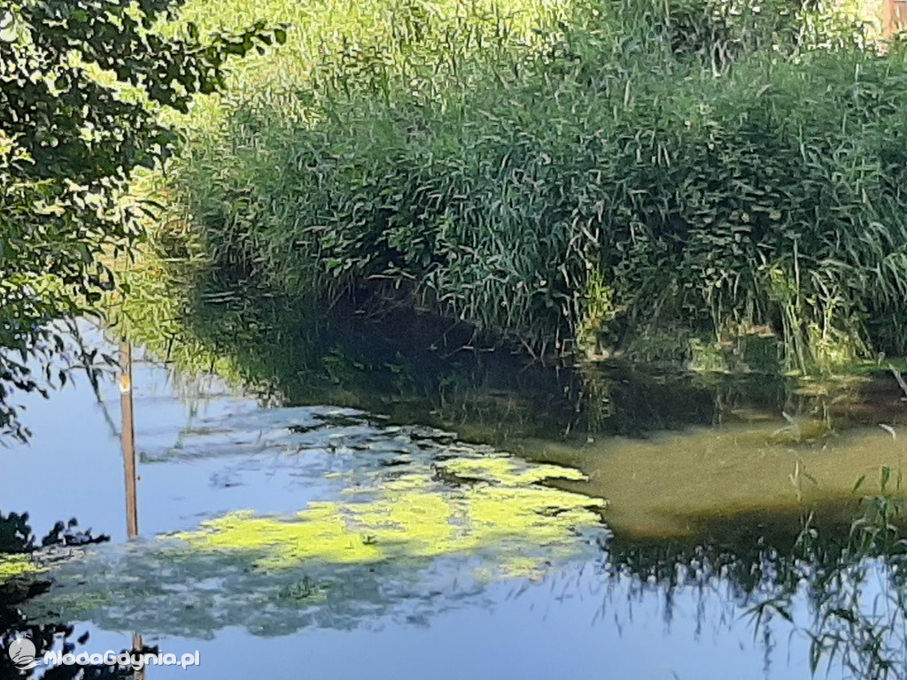 Park Ewolucji zaprasza