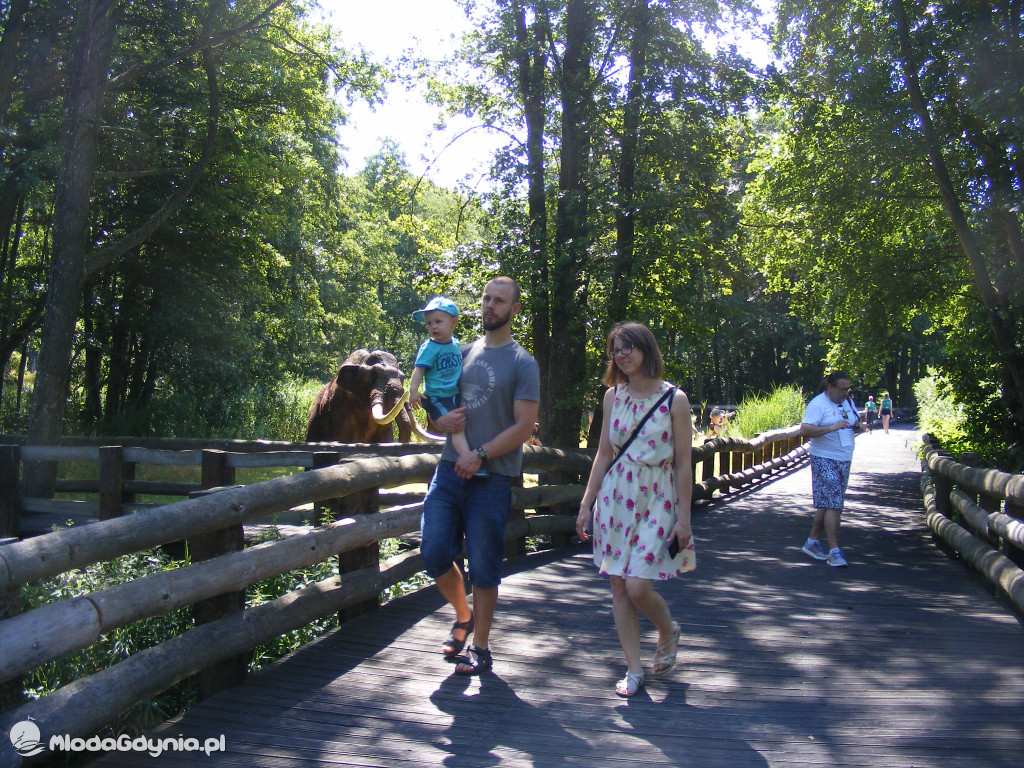 Park Ewolucji zaprasza