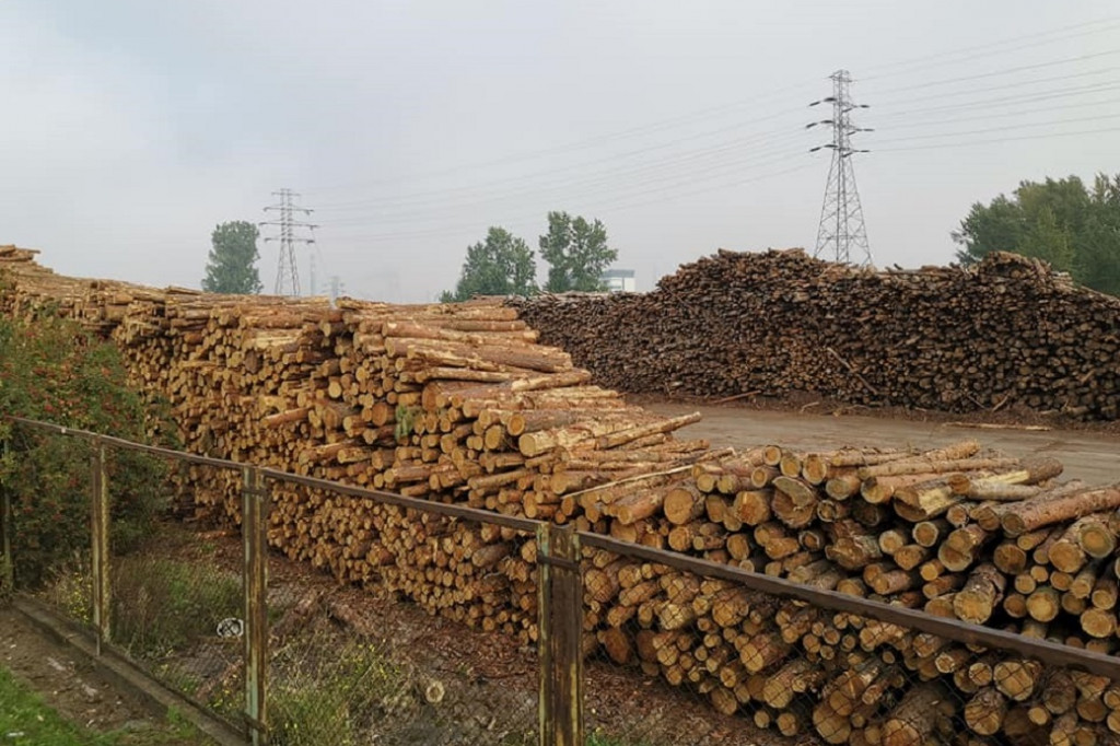Posel Marek Rutka - manifestacja w obronie lasów