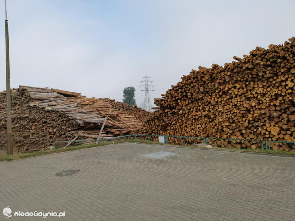 Posel Marek Rutka - manifestacja w obronie lasów