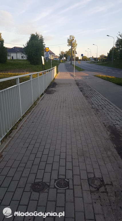 Zamurowany potok Wiczliński