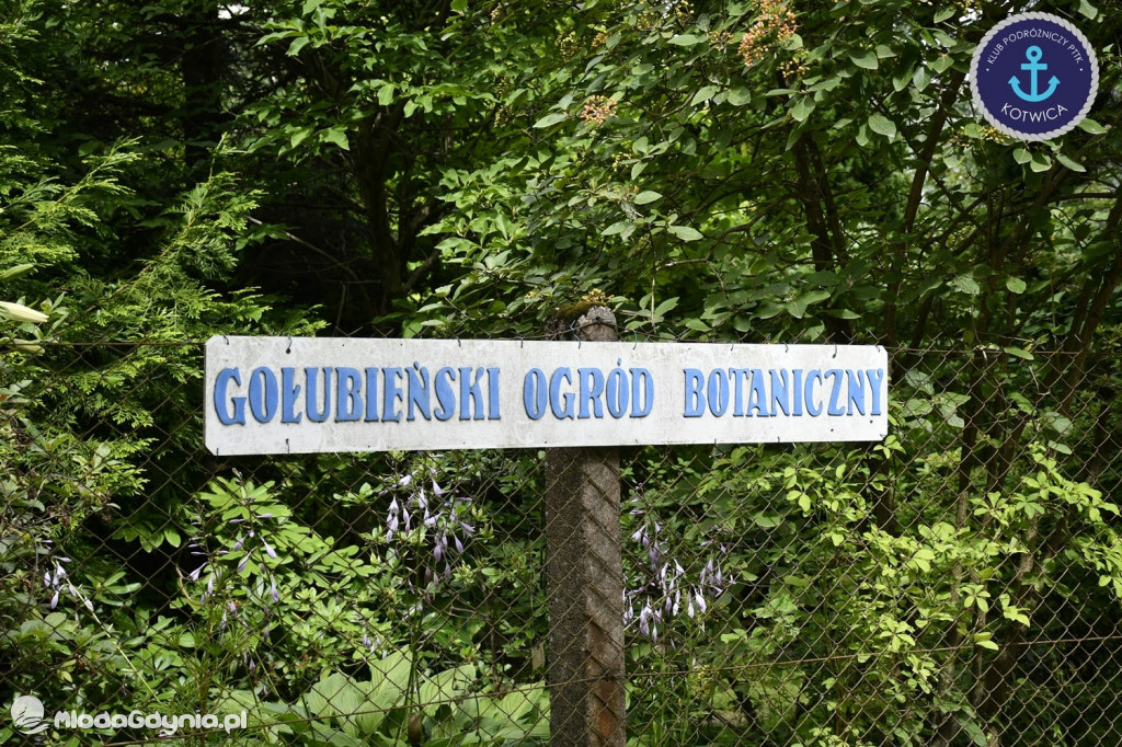 Wycieczka Nr 2 Klubu Podróżniczego PTTK Kotwica do Gołubia Kaszubskiego - 25.07.2020