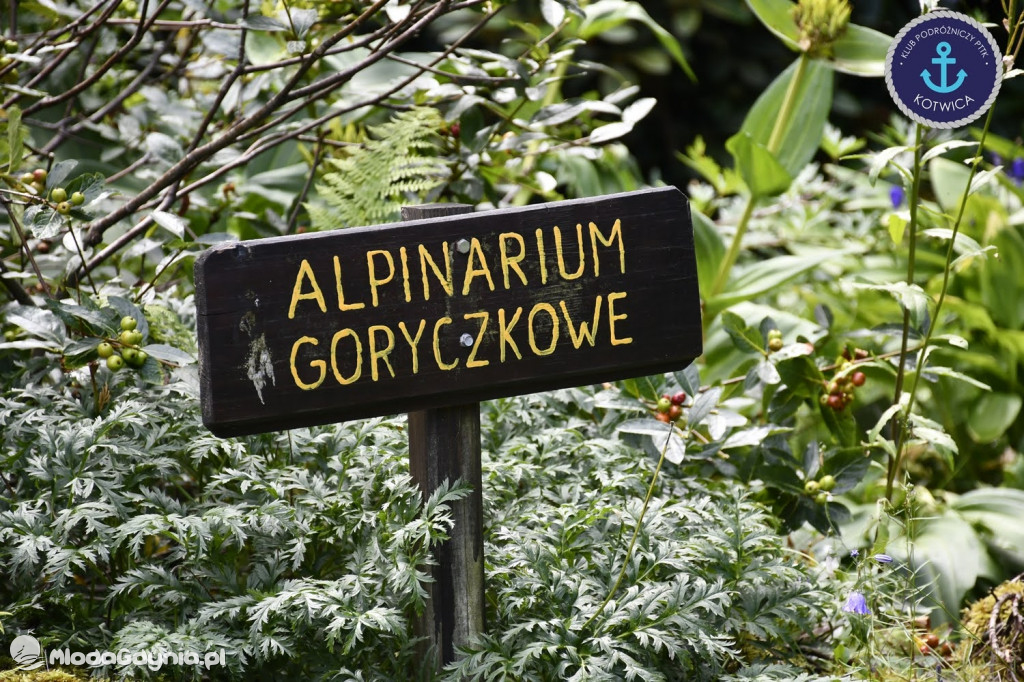 Wycieczka Nr 2 Klubu Podróżniczego PTTK Kotwica do Gołubia Kaszubskiego - 25.07.2020
