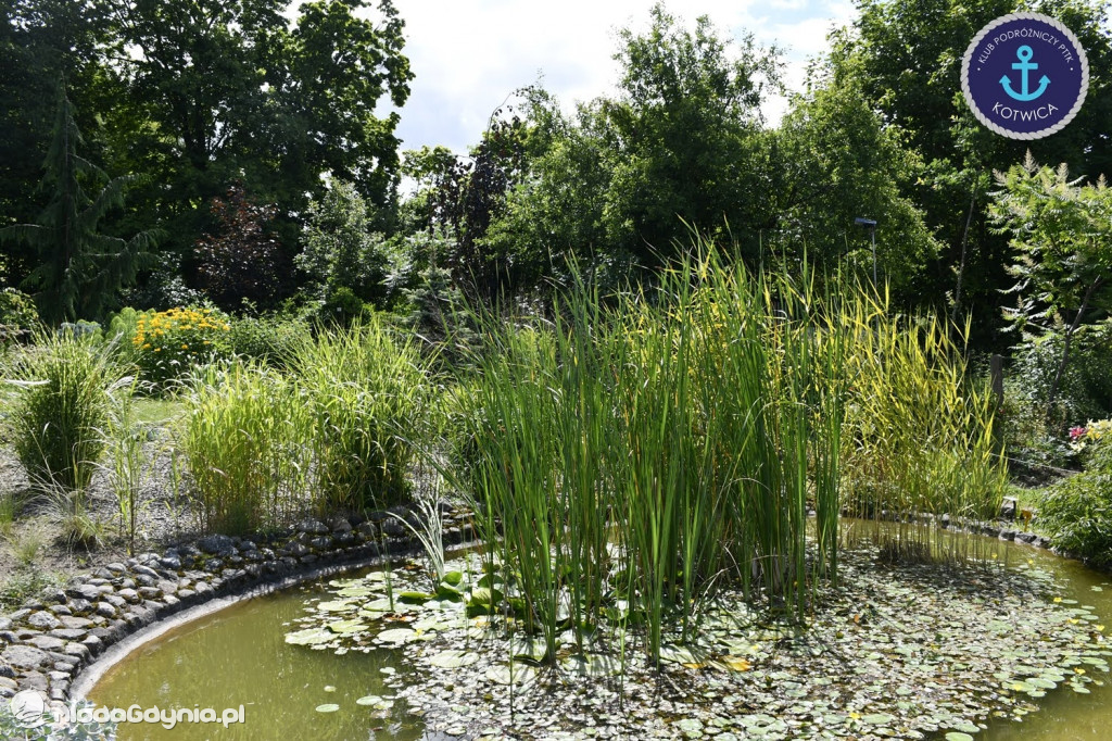 Wycieczka Nr 2 Klubu Podróżniczego PTTK Kotwica do Gołubia Kaszubskiego - 25.07.2020