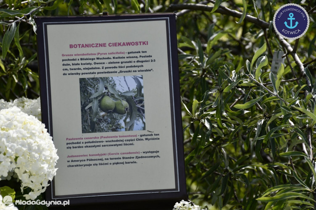 Wycieczka Nr 2 Klubu Podróżniczego PTTK Kotwica do Gołubia Kaszubskiego - 25.07.2020