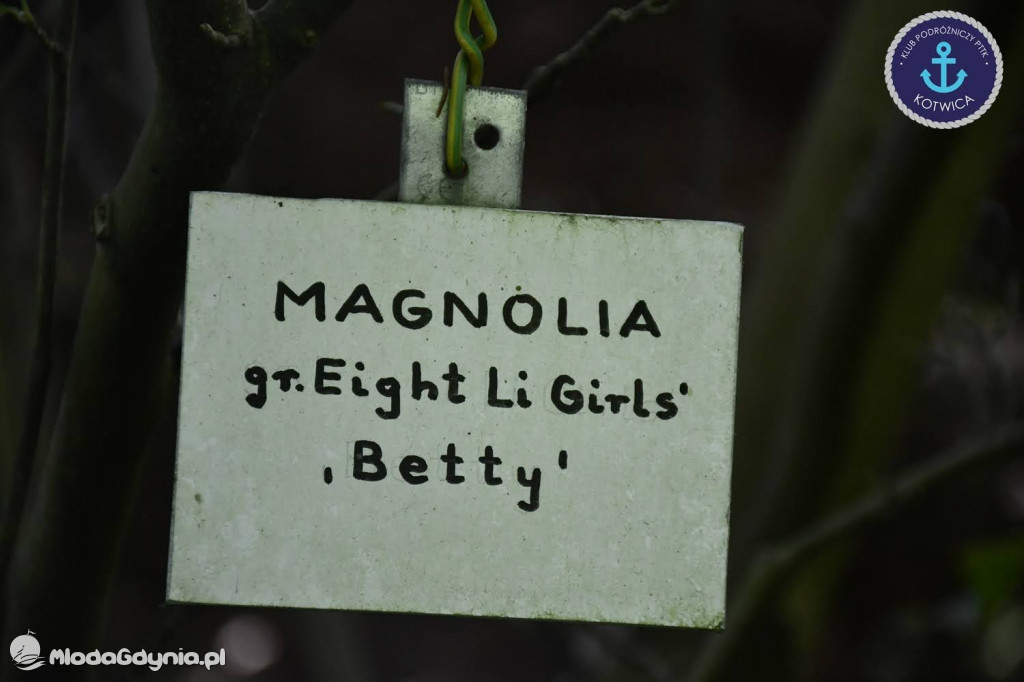 Wycieczka Nr 2 Klubu Podróżniczego PTTK Kotwica do Gołubia Kaszubskiego - 25.07.2020