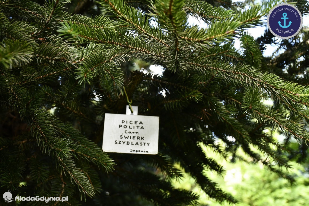Wycieczka Nr 2 Klubu Podróżniczego PTTK Kotwica do Gołubia Kaszubskiego - 25.07.2020