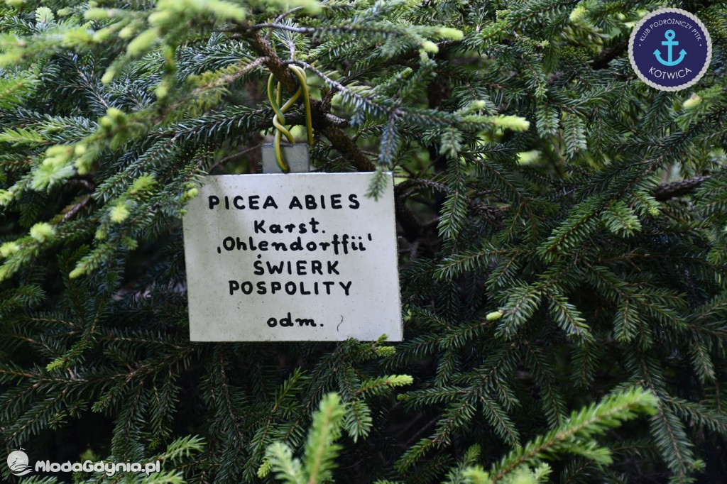 Wycieczka Nr 2 Klubu Podróżniczego PTTK Kotwica do Gołubia Kaszubskiego - 25.07.2020