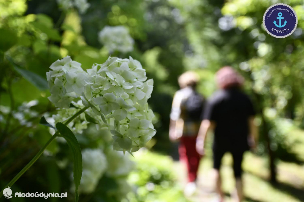 Wycieczka Nr 2 Klubu Podróżniczego PTTK Kotwica do Gołubia Kaszubskiego - 25.07.2020