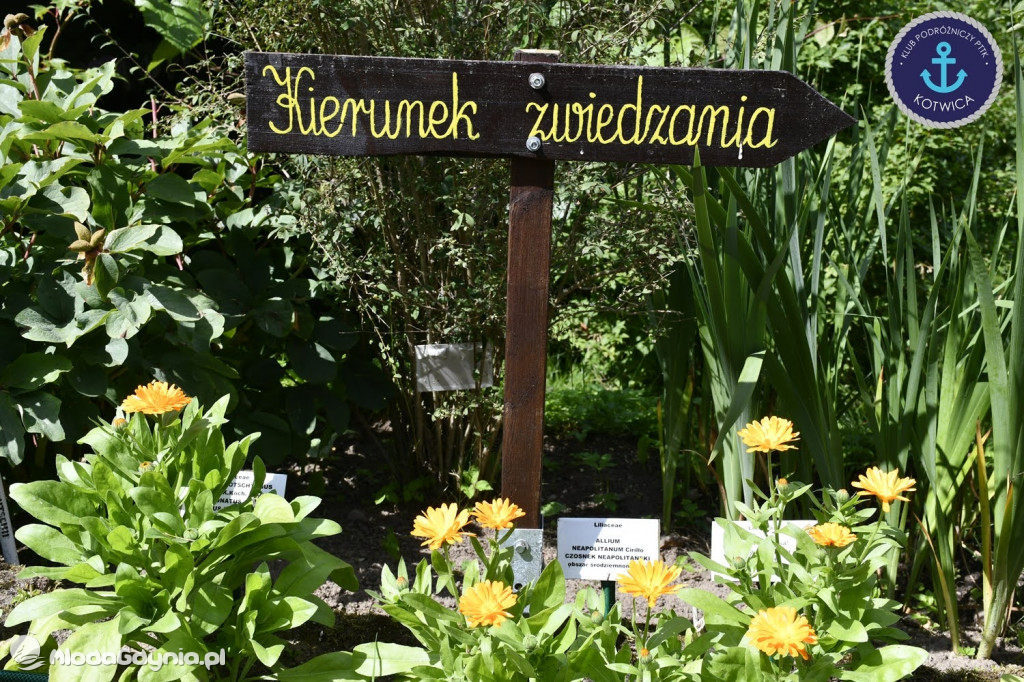 Wycieczka Nr 2 Klubu Podróżniczego PTTK Kotwica do Gołubia Kaszubskiego - 25.07.2020