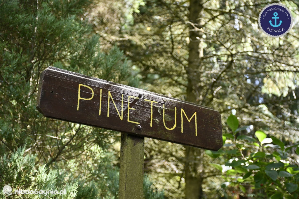 Wycieczka Nr 2 Klubu Podróżniczego PTTK Kotwica do Gołubia Kaszubskiego - 25.07.2020