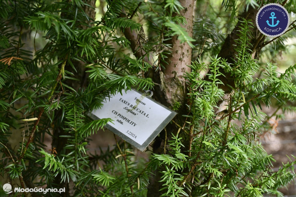 Wycieczka Nr 2 Klubu Podróżniczego PTTK Kotwica do Gołubia Kaszubskiego - 25.07.2020