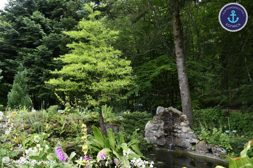 Wycieczka Nr 2 Klubu Podróżniczego PTTK Kotwica do Gołubia Kaszubskiego - 25.07.2020