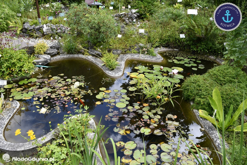 Wycieczka Nr 2 Klubu Podróżniczego PTTK Kotwica do Gołubia Kaszubskiego - 25.07.2020