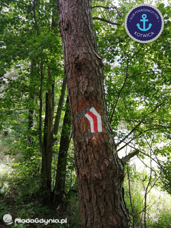 Wycieczka Nr 2 Klubu Podróżniczego PTTK Kotwica do Gołubia Kaszubskiego - 25.07.2020