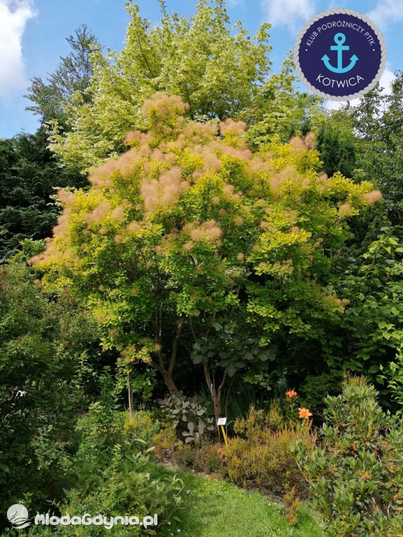 Wycieczka Nr 2 Klubu Podróżniczego PTTK Kotwica do Gołubia Kaszubskiego - 25.07.2020