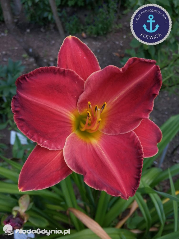 Wycieczka Nr 2 Klubu Podróżniczego PTTK Kotwica do Gołubia Kaszubskiego - 25.07.2020