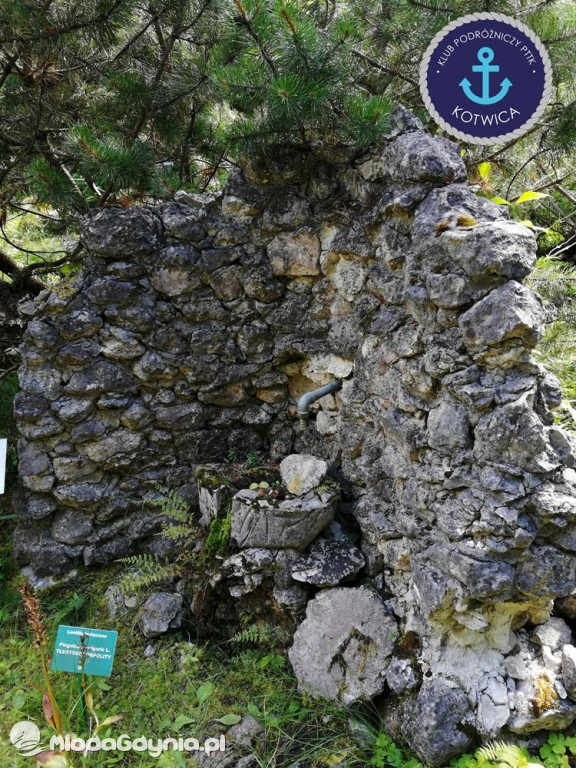 Wycieczka Nr 2 Klubu Podróżniczego PTTK Kotwica do Gołubia Kaszubskiego - 25.07.2020