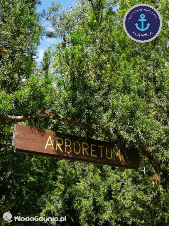 Wycieczka Nr 2 Klubu Podróżniczego PTTK Kotwica do Gołubia Kaszubskiego - 25.07.2020