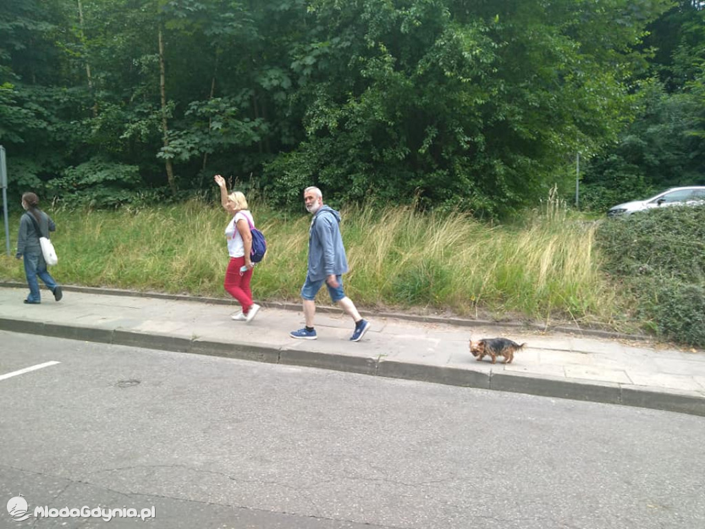 Spacer z KFK - BABIE DOŁY z przewodnikiem Jarosławem Ellwart