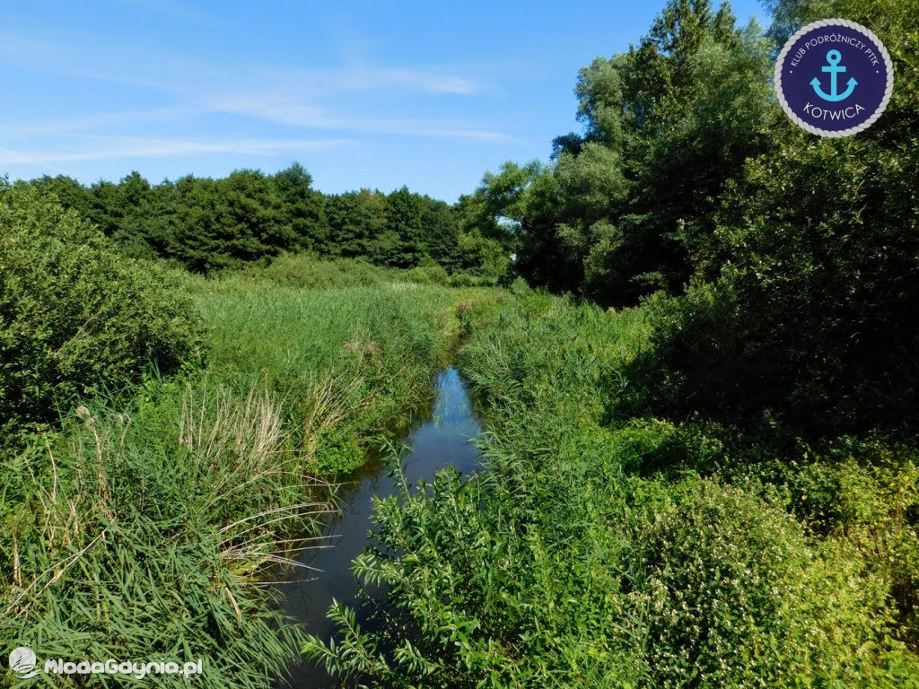PTTK Kotwica - Rowerem do Osady Łowców Fok w Rzucewie - 01.08.2020